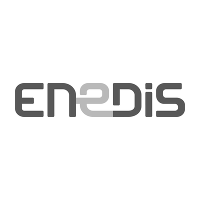 Logo ENEDIS